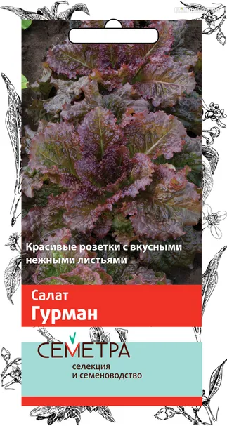 Салат Гурман (А) 1, Поиск