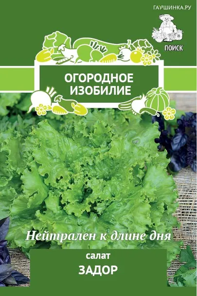 Салат Задор (А) 1, Поиск
