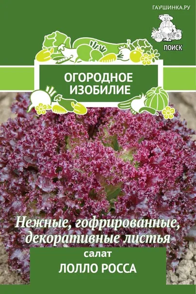 Салат Лолло Росса 1, Поиск