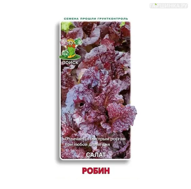 Салат Робин 1, Поиск