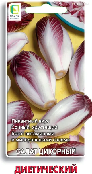 Салат цикорный Диетический ц/п 0,2 г, Семена Поиск
