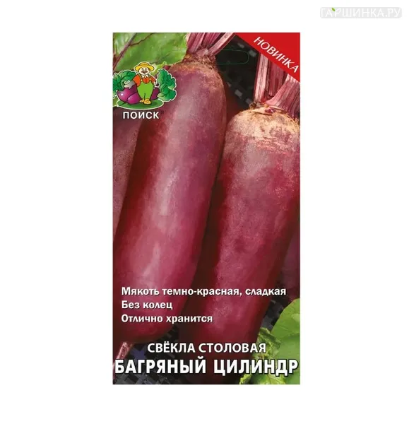 Свекла столовая Багряный цилиндр (А) 3, Поиск