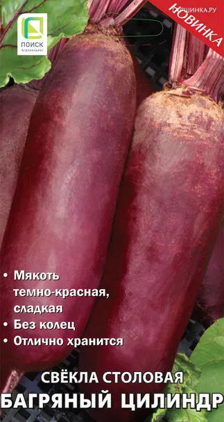 Свекла столовая Багряный цилиндр (А) 3, Поиск