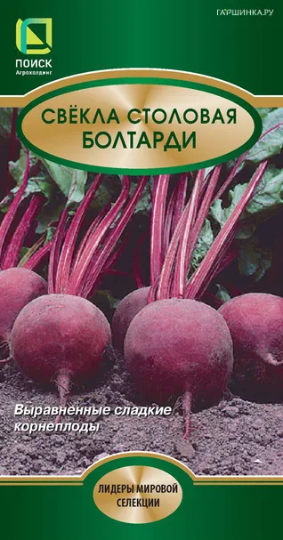 Свекла столовая Болтарди 2, Поиск