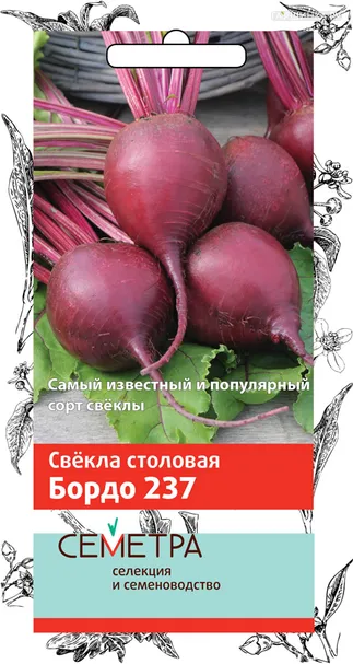 Свекла столовая Бордо 237 3, Поиск