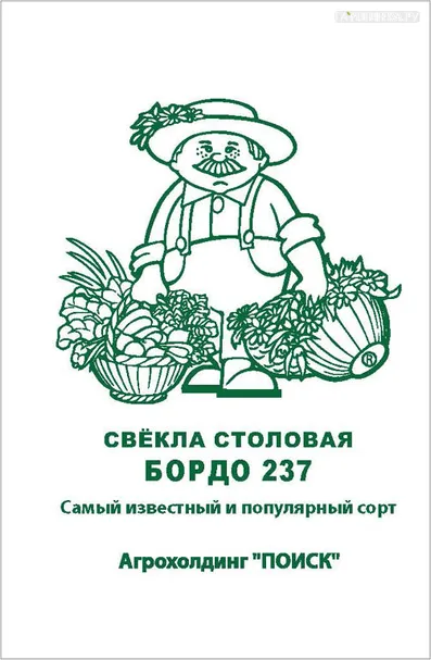 Свекла столовая Бордо 237 3, Поиск