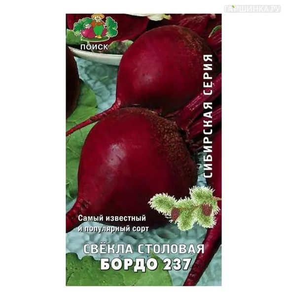 Свекла Бордо столовая 237 3, Поиск