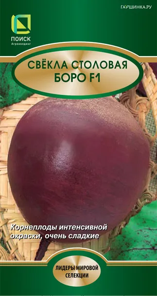 Свекла столовая Боро F1 2, Поиск