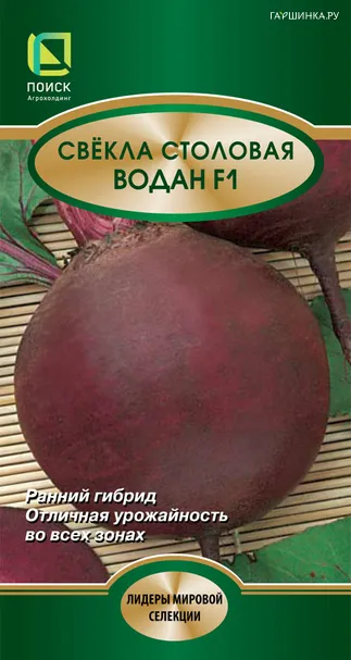 Свекла столовая Водан F1 2, Поиск