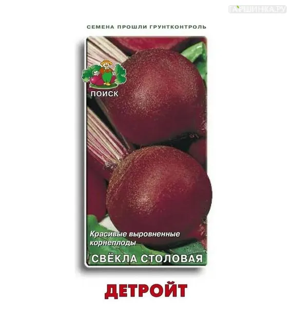 Свекла столовая Детройт 3, Поиск