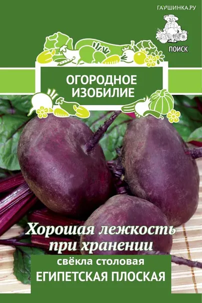 Свекла Египетская плоская столовая 3, Поиск