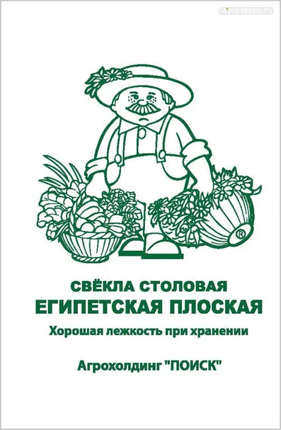 Свекла столовая Египетская плоская 3, Поиск