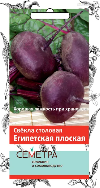 Свекла столовая Египетская плоская 3, Поиск