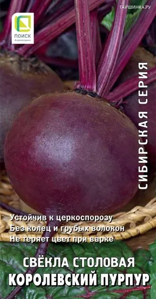 Свекла столовая Королевский пурпур (А) 3, Поиск