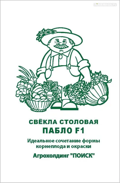 Свекла Пабло F1 столовая 1, Поиск