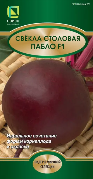 Свекла столовая Пабло F1 2, Поиск