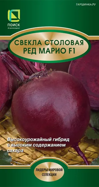 Свекла столовая Ред Марио F1 2, Поиск