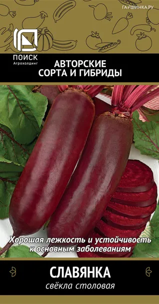 Свекла столовая Славянка (А) 3, Поиск