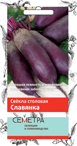 Свекла столовая Славянка (А) 3, Поиск