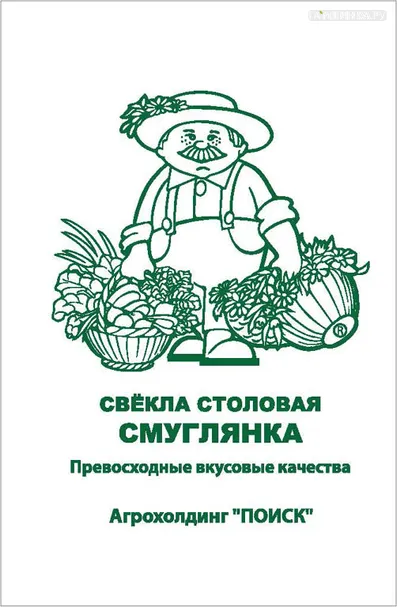Свекла Смуглянка столовая 3, Поиск