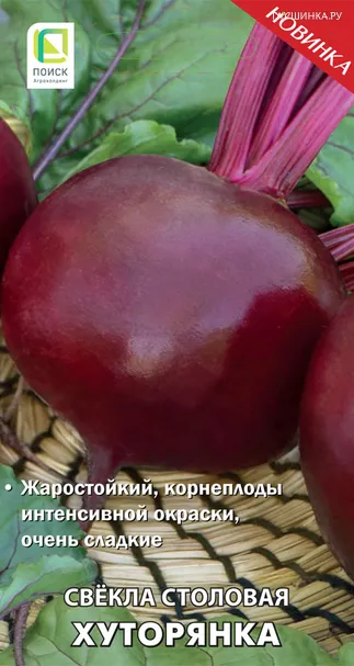 Свекла столовая Хуторянка (А) 3, Поиск