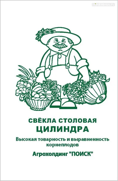 Свекла Цилиндра столовая 3, Поиск