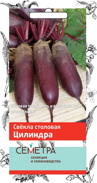 Свекла столовая Цилиндра 3, Поиск