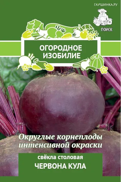 Свекла столовая Червона Кула 3, Поиск