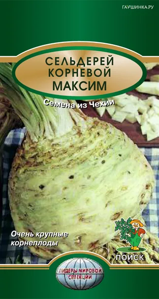 Сельдерей корневой Максим 0,25, Поиск