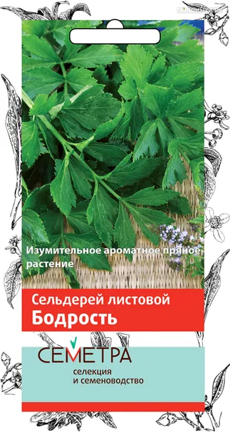 Сельдерей листовой Бодрость (ТМ Семетра) 0,5 г, Семена Поиск