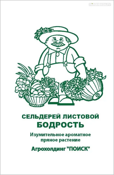 Сельдерей листовой Бодрость б/п 0,5 г, Семена Поиск