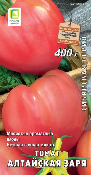 Томат Алтайская заря (А) 0,1, Поиск