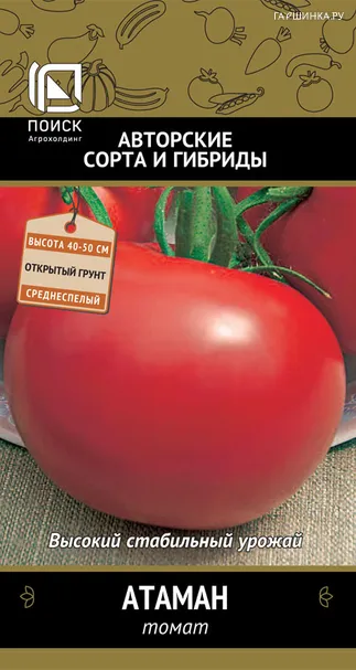 Томат Атаман (А) 0,1, Поиск