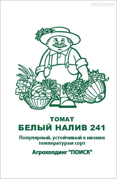 Томат Белый налив 241 0,1, Поиск