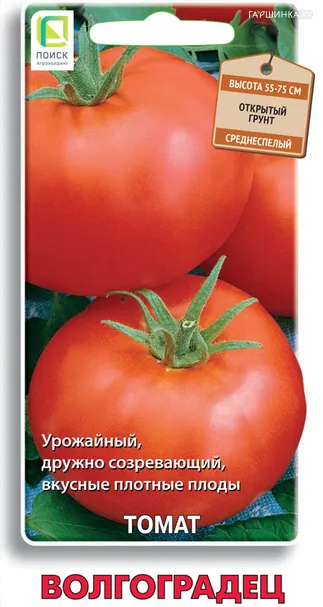 Томат Волгоградец 0,1, Поиск
