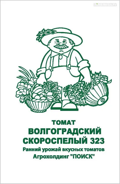 Томат Волгоградский скороспелый 323 ч/б 0,1 г, Семена Поиск