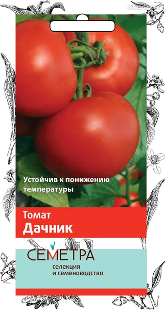 Томат Дачник (А) 0,1, Поиск