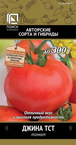 Томат Джина ТСТ (А) 0,1, Поиск