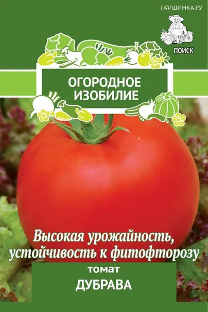 Томат Дубрава 0,1, Поиск