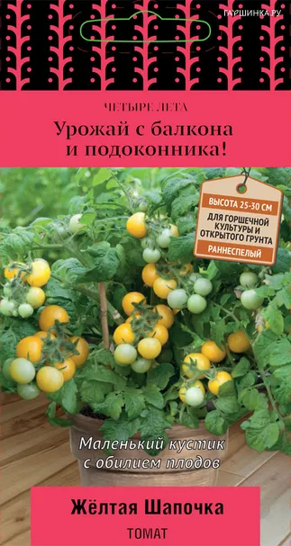 Томат Желтая шапочка (А) 5, Поиск