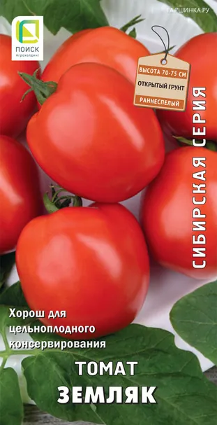 Томат Земляк 0,1, Поиск