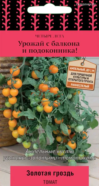 Томат Золотая гроздь (А) 5, Поиск