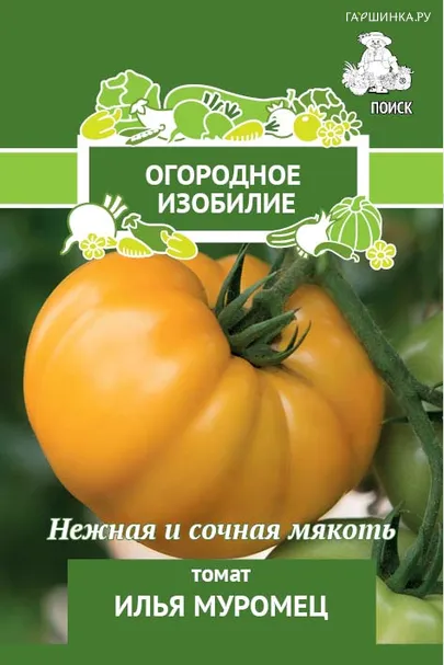Томат Илья Муромец (А) 0,1, Поиск