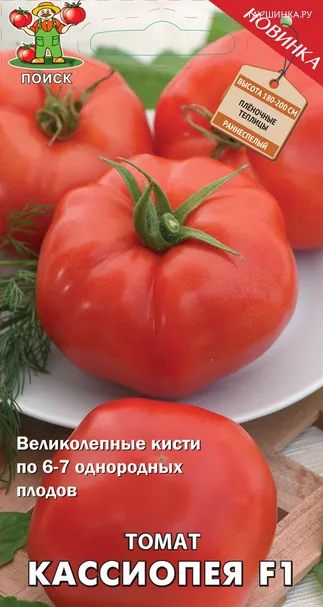 Томат Кассиопея F1 (А) 12, Поиск