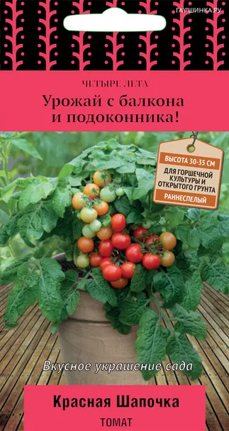 Томат Красная шапочка (А) 5, Поиск