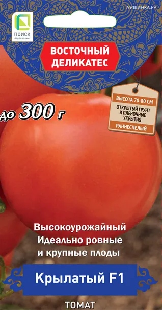 Томат Крылатый F1 (А) 10, Поиск