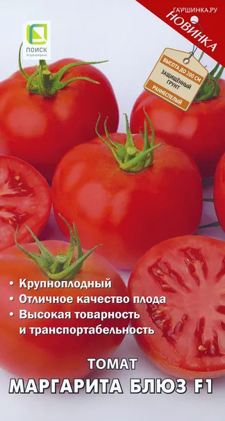Томат Маргарита Блюз F1 (А) 12, Поиск