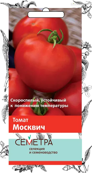 Томат Москвич 0,1, Поиск