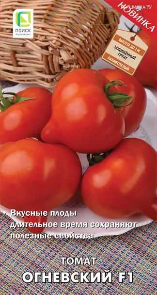 Томат Огневский F1 (А) 12, Поиск