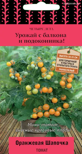 Томат Оранжевая шапочка (А) 5, Поиск